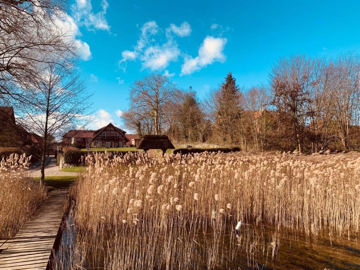 Seehotel Zarrentin Zarrentin am Schaalsee Bagian luar foto